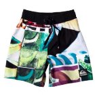 Quiksilver Shorts | Quiksilver Fins Out Youth Boardshorts - White