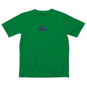 Quiksilver T-Shirt | Quiksilver Corporate Logo Youth T Shirt - Field Green