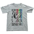 Quiksilver T-Shirt | Quiksilver Travel Bug Youth T Shirt - Light Grey Heather