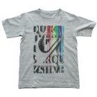 Quiksilver T-Shirt | Quiksilver Travel Bug Youth T Shirt - Light Grey Heather