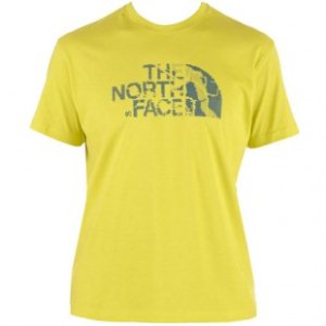 The North Face T Shirt | North Face 3D Dot Print T Shirt - Sublime Green
