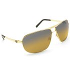Von Zipper Sunglasses | Vz Skitch Sunglasses - Gold ~ Moss Gradient