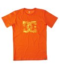 Men - Clothing - Scantastic Standard Ss Tee - Dcshoes