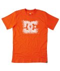 Men - Clothing - Splosion Mens S/S Standard Tee - Dcshoes