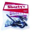 Shortys Allen Truck Bolts